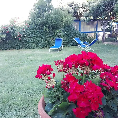 Charming In 35 M² Mountain View Appartamento *