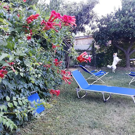 Charming In 35 M² Mountain View *